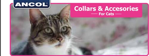 Ancol Reflective Gloss Hearts Safety Cat Collar - Silver | Break-away Buckle | Warning Bell 3