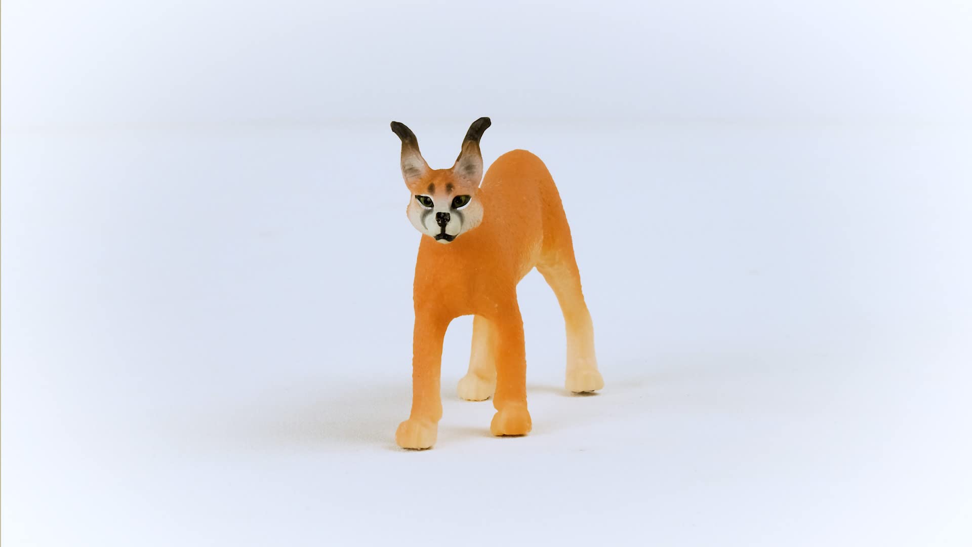 SCHLEICH14867 Wild Life Caracal Female Figurine - Educational Play for Ages3-8 11