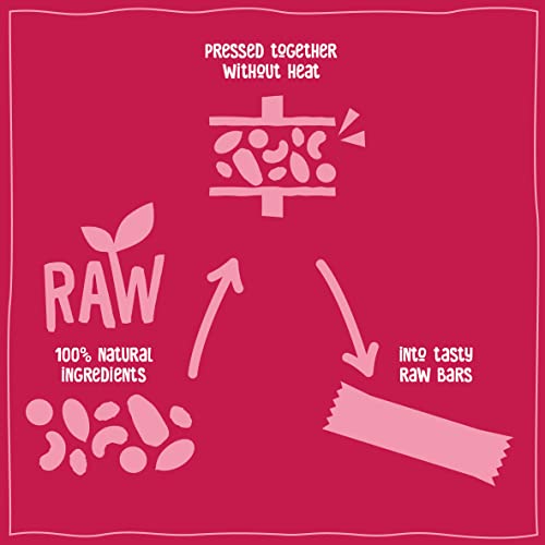 Nakd Berry Delight 35g Fruit & Nut Snack Bar - Case of 48 Raw, Vegan, Gluten-Free Bars 10