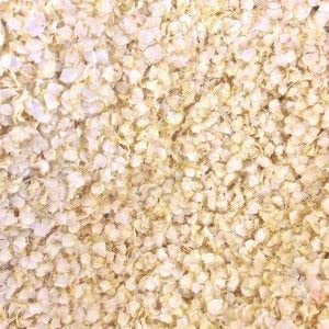 Wholefood Earth Organic Quinoa Flakes (500g)