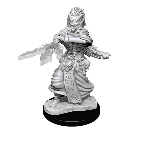 WizKids/NECA WZK90239 D&D Nolzur's Marvelous Miniatures - Night Hag & Dusk Hag (6 Units) - Ages 14+