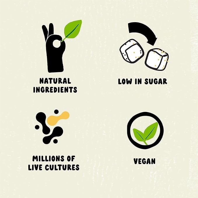 Lo Bros Kombucha – Passionsfrucht – Sprudelndes Erfrischungsgetränk mit natürlichen Zutaten 3