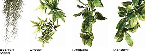 Exo Terra Plastic Amapallo Plant - Small Size, Realistic Reptile Decor | PT3001