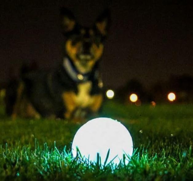 Chuckit! Max Glow Ball - Durable Rubber Fetch Toy | High Visibility | Large Size