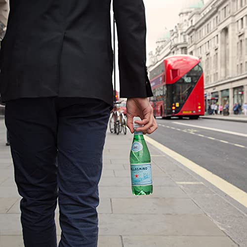 S.Pellegrino Sparkling Natural Mineral Water (500ml)