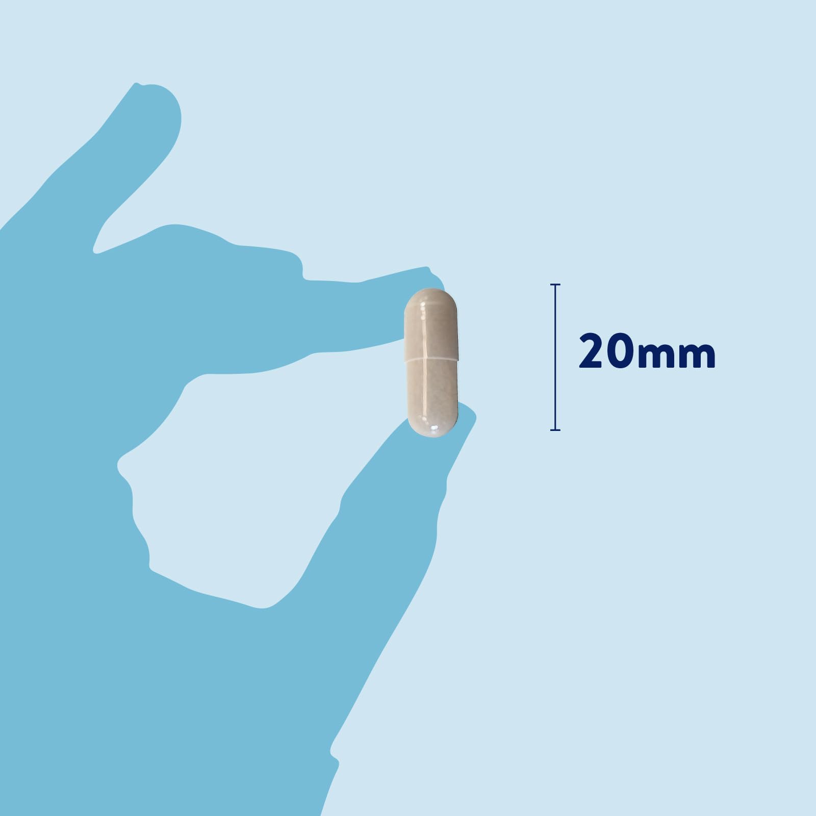 DORWEST HERBS Probiotic Plus for Dogs - Pre, Pro & Postbiotic Support | 200 Capsules 3