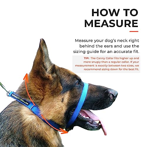 Canny - Canny Collar Head Collar for Dog Training and Walking - Black (Size 4, Model 02-1005)