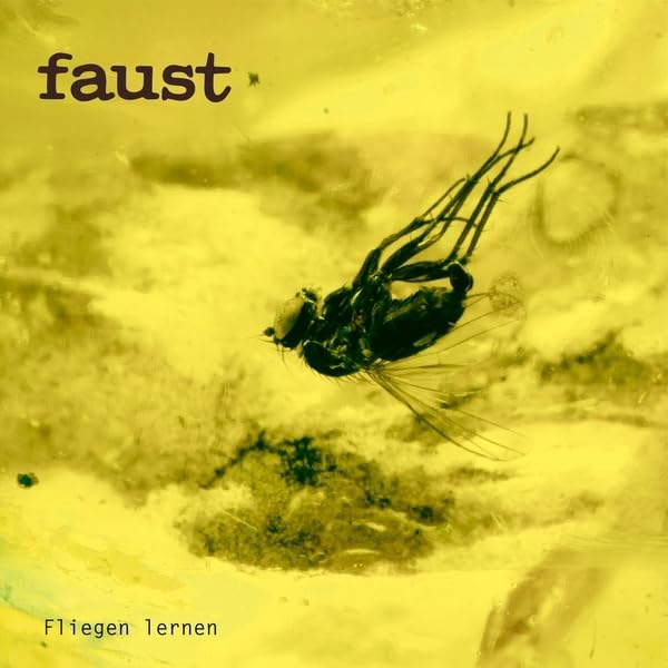 Faust - Fliegen Lernen (Curated by Gunther Wusthoff) [CD]