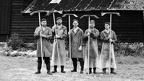 Maldon - Sea Salt Flakes 570g 25