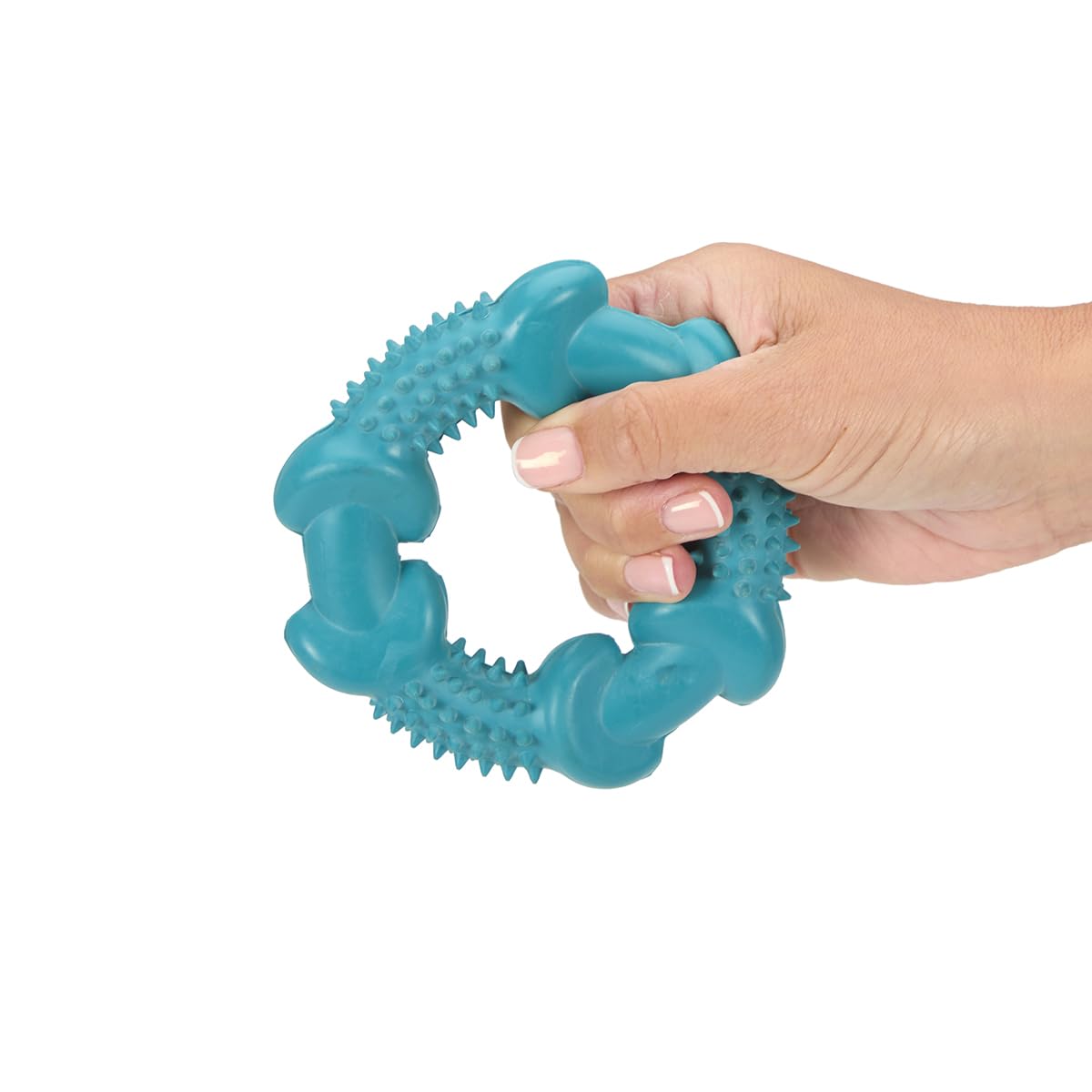 Petface Little Petface Rubber Ring Teething Chew Dog Toy for Puppies | Non-Toxic Rubber | Turquoise