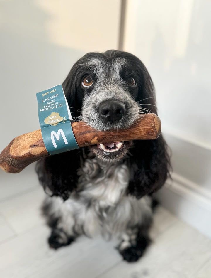 pet wiz Olive Wood Dog Chew Stick | Oral Hygiene & Mental Stimulation | Heavy Duty, Natural 3