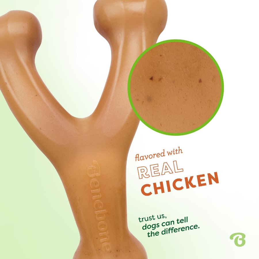 Benebone Wishbone Dog Chew Toy - Long Lasting, Real Chicken Flavor | Large Size