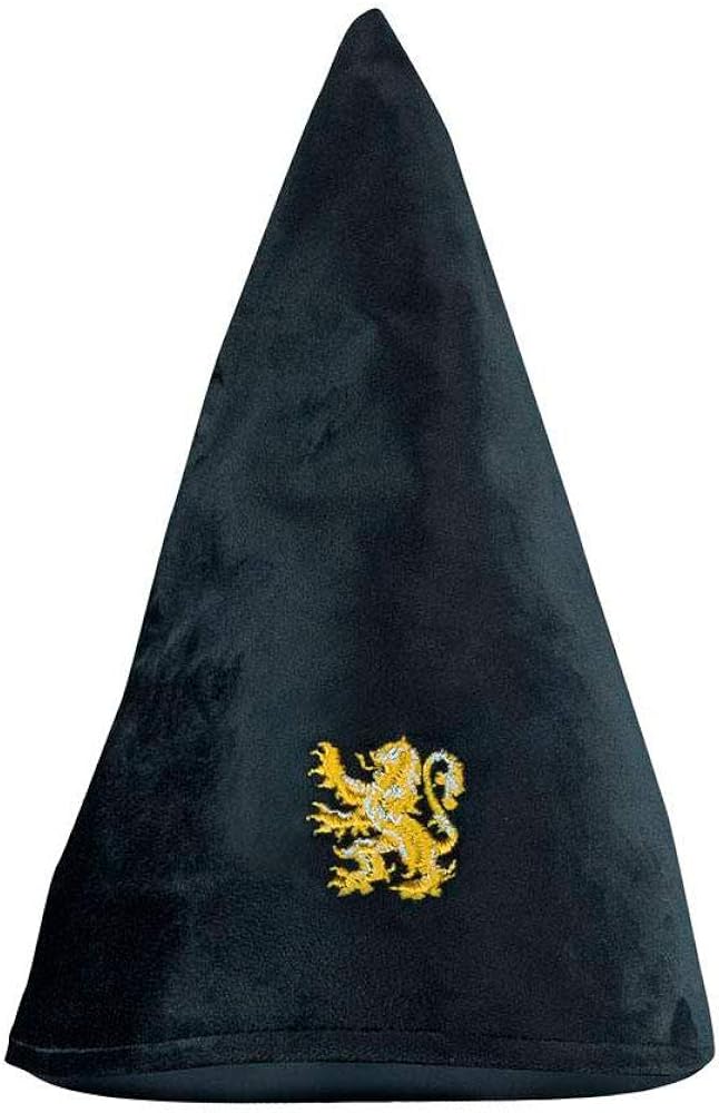 Harry Potter Hogwarts Student Hat - Black (One Size)