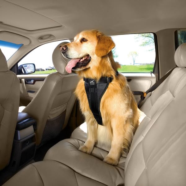 Kurgo Enhanced Strength Tru-Fit Dog Car Harness - Crash Tested, Adjustable, Padded Chest | Large