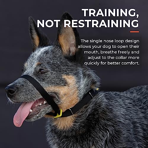 Canny - Canny Collar Head Collar for Dog Training and Walking - Black (Size 4, Model 02-1005) 4