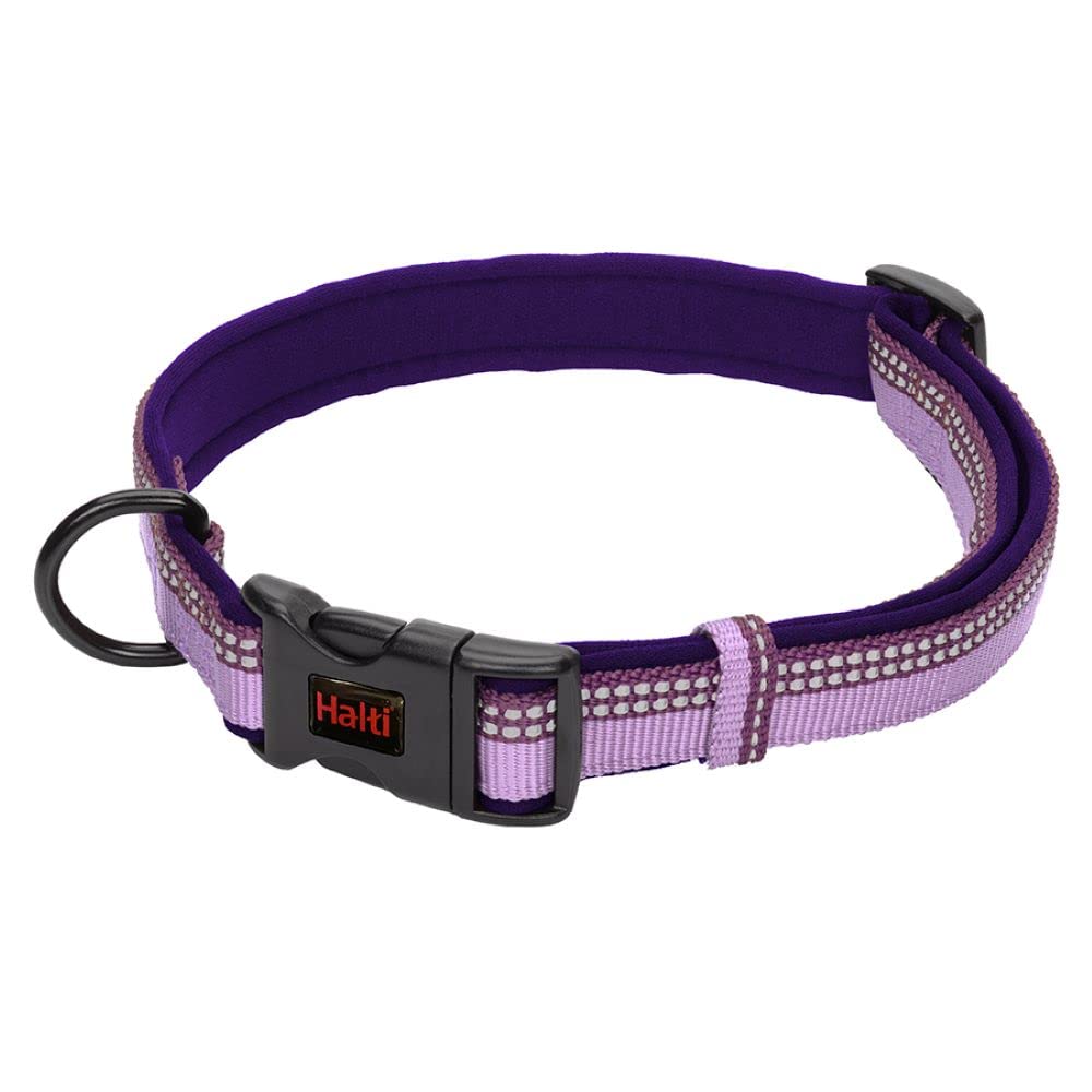 Halti Comfort Collar - Purple, Small Size, Neoprene-Padded Nylon, Reflective Strip