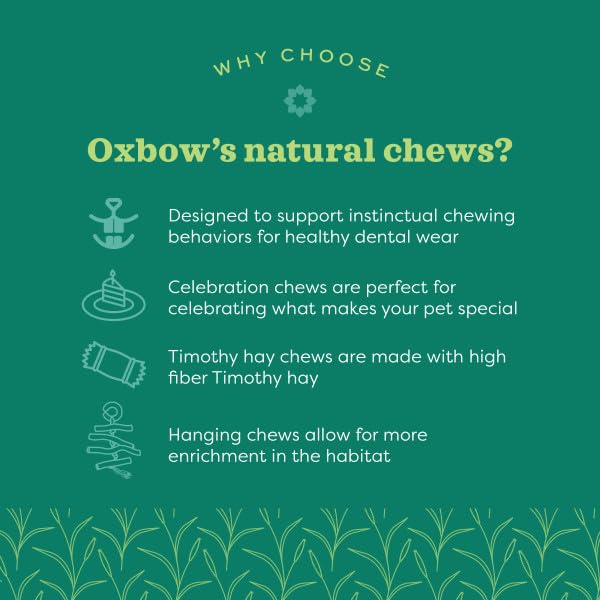 Oxbow Enriched Life Celebration Cupcake Chew Toy for Small Animals | Supports Dental Health & Mental Stimulation 3