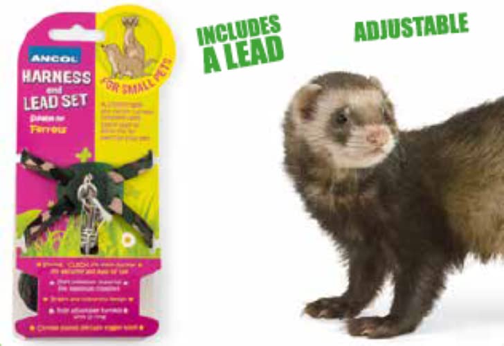 Ancol Ferret Harness and Lead Set | Fully Adjustable | Soft Polyester Material 4