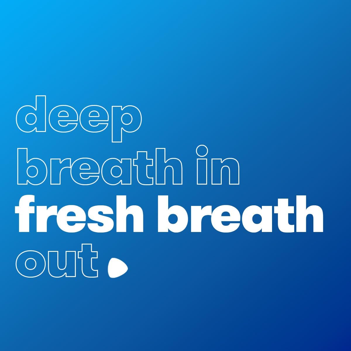 Smint Peppermint XXL Sugar-Free Mints - 8 Bottles (150 Mints Each) for Long-Lasting Fresh Breath