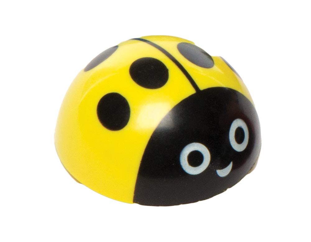 Baker Ross Ladybird Pull-Back Racers - 4 Pack with Assorted Colors, Age 3+ 3