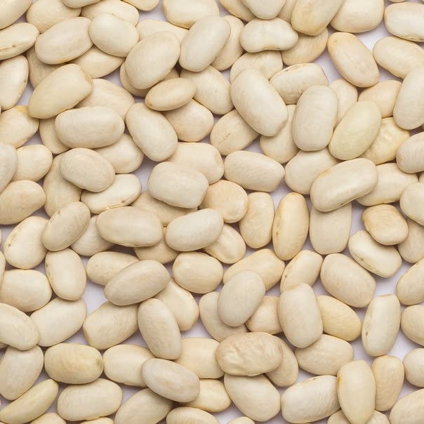 Wholefood Earth Haricot Beans 1 kg | GMO Free | Natural | High Fibre | Vegan 2