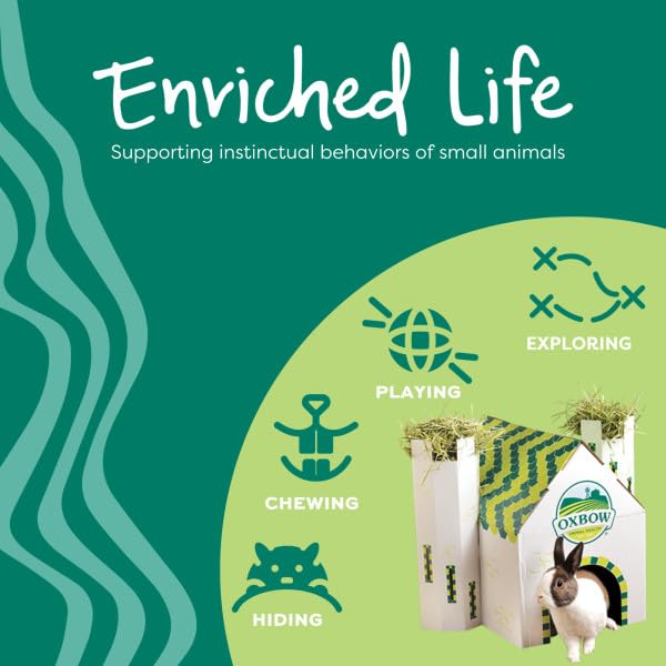 Oxbow Enriched Life Apple Stick Bouquet - Small Animal Chew Toy | Promotes Dental Health 6