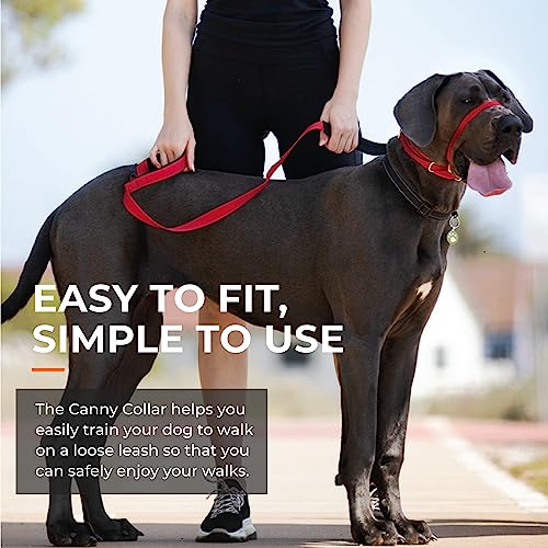 Canny - Canny Collar Head Collar for Dog Training and Walking - Black (Size 4, Model 02-1005) 9