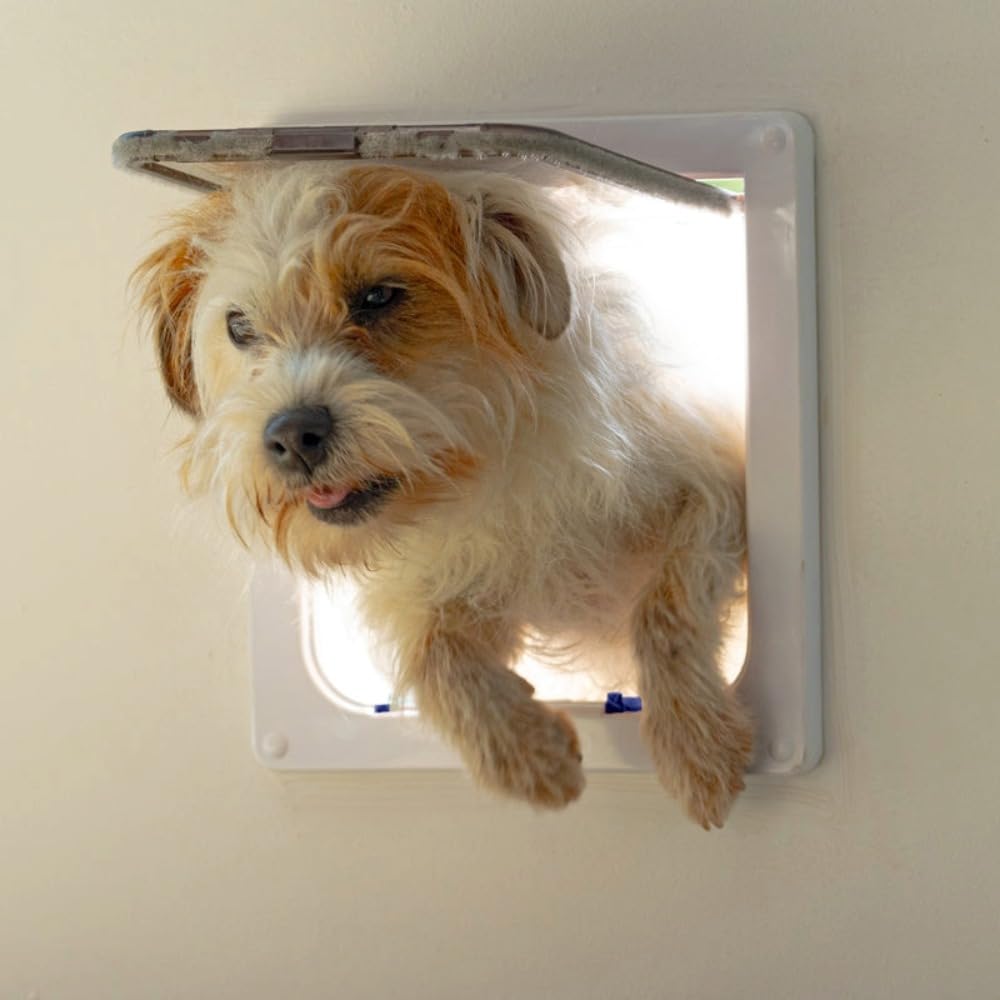 Cat Mate 4-Way Locking Large Cat Flap - Grey | Suitable for UPVC, Metal, Wood Doors & Walls | Up to 50mm Thick 8