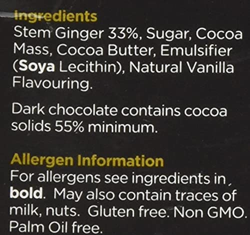 Beech's Dark Chocolate Ginger 100g 8