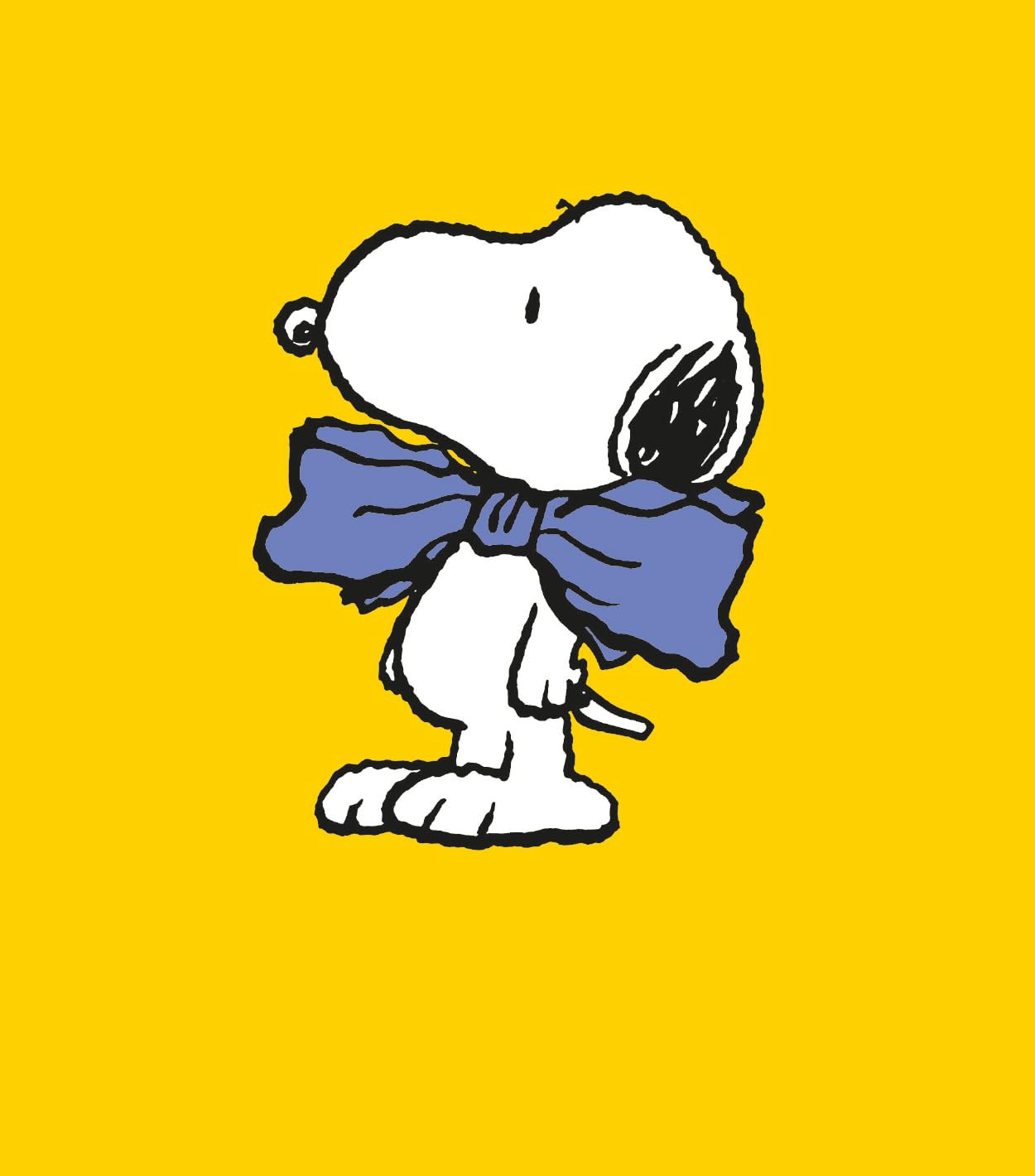 Danilo Promotions LTD Peanuts Blank Greeting Card - Snoopy & Charlie Brown Official Design | Standard Size 1