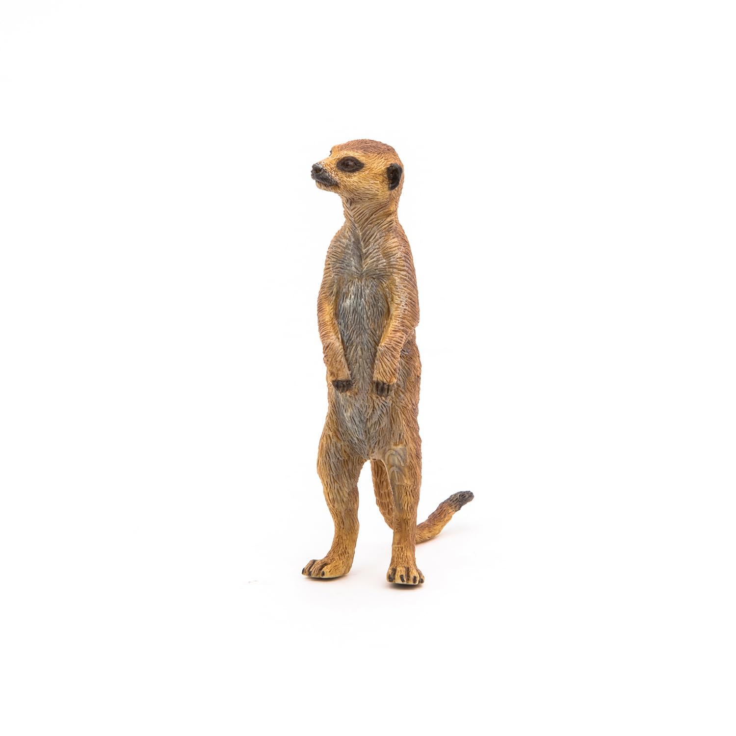 Papo 50206 Standing Meerkat Figurine - Educational Wildlife Play Figure for Kids 3+ 5