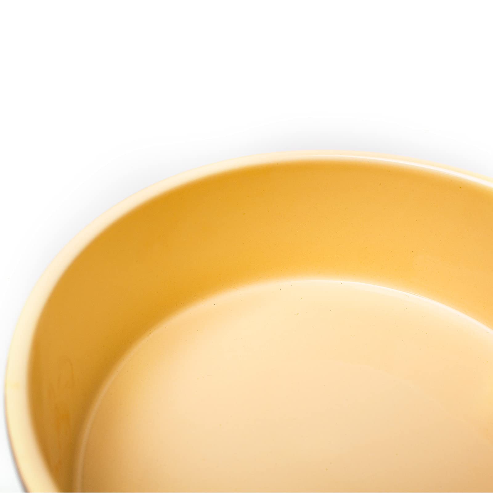 Petface Ceramic Dog Bowl - Grey Dots | 13 cm Diameter | Dishwasher Safe 3