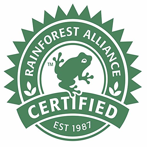 Teapigs Everyday Brew Loose Leaf Tea - Whole Leaf English Breakfast Blend 250g 5