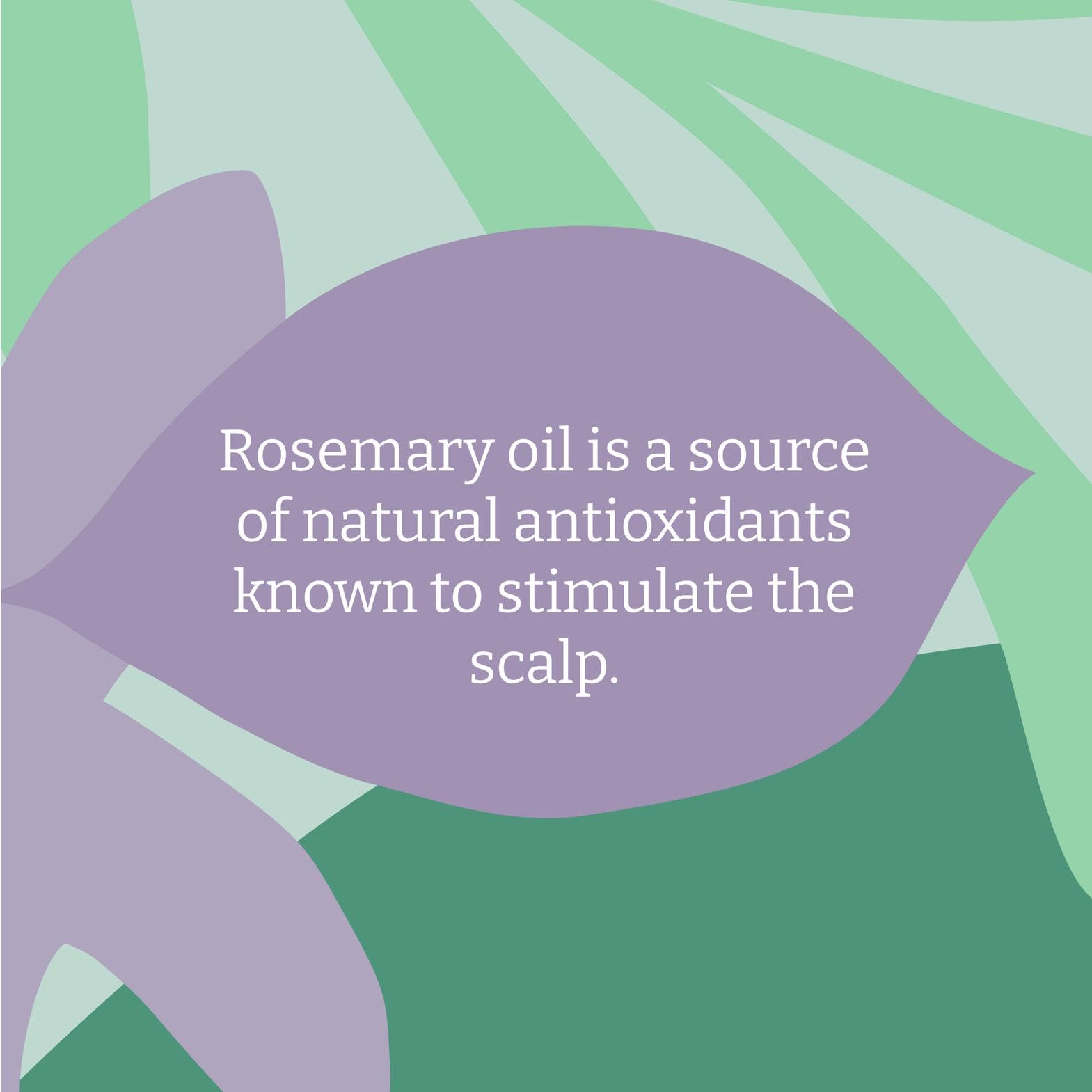 Faith In Nature - Organic Rosemary Shampoo (400ml) 10