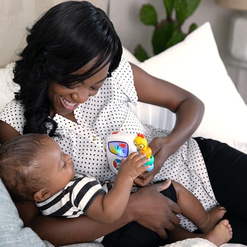 Baby Einstein Take Along Tunes Musikspielzeug – Klassische Melodien für Babys 24