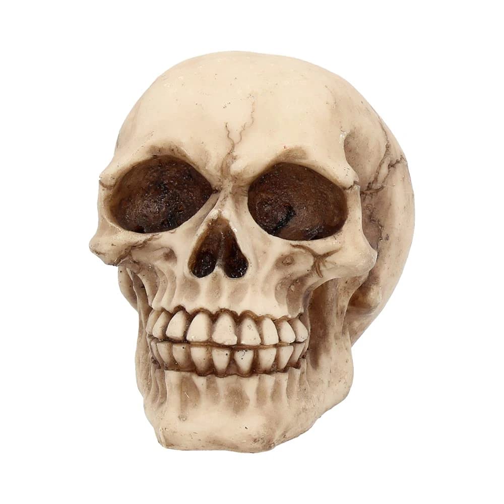 Nemesis Now Joker Skull Decorative Ornament - Resin, Ivory, 12 cm