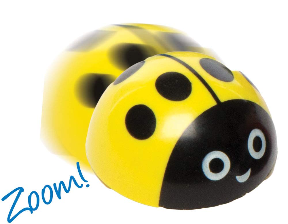 Baker Ross Ladybird Pull-Back Racers - 4 Pack with Assorted Colors, Age 3+ 4