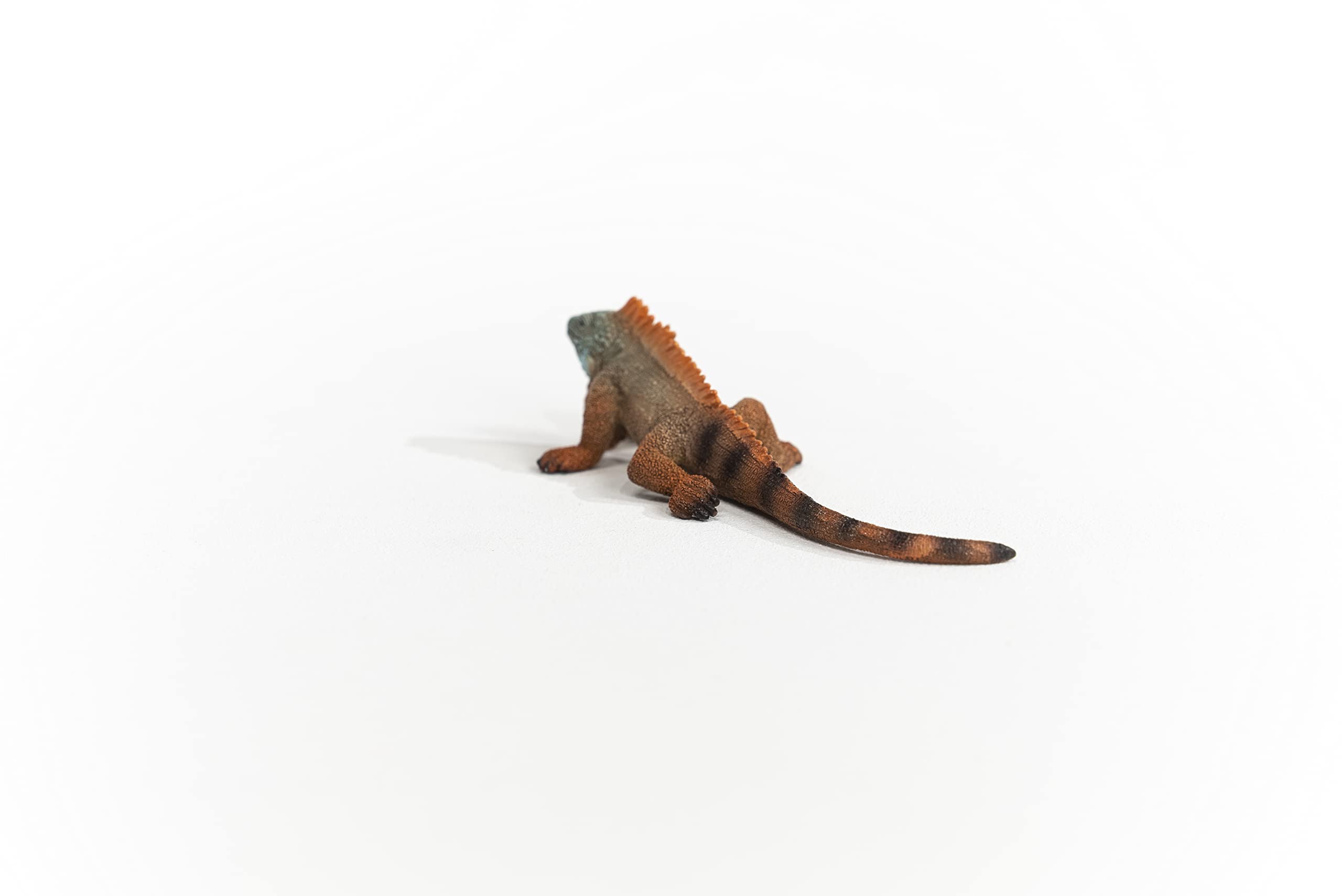 SCHLEICH Iguana Wildlife Figurine - Realistic Reptile Toy for Kids 5