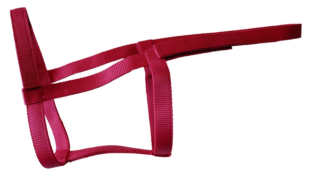 Rhinegold Field Safe Headcollar - Pony Size | Metal Free | Raspberry Nylon Webbing
