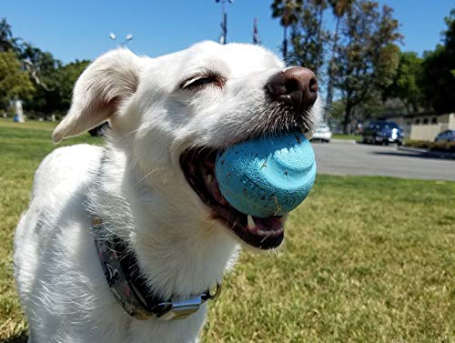Chuckit! Fetch Medley 3 Pack - Max Glow, Rebounce, Whistler | Medium | Launcher Compatible 6
