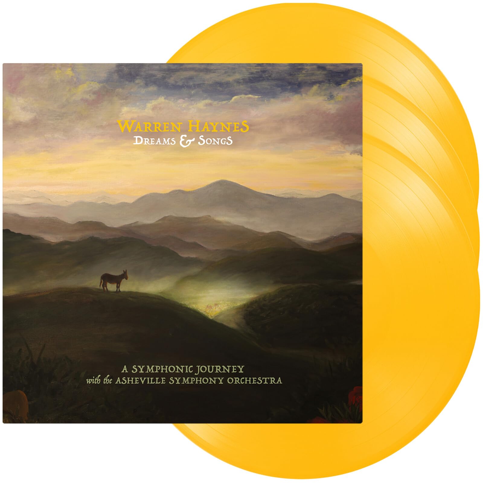 Warren Haynes - Dreams & Songs [3LP Vinyl Box Set]