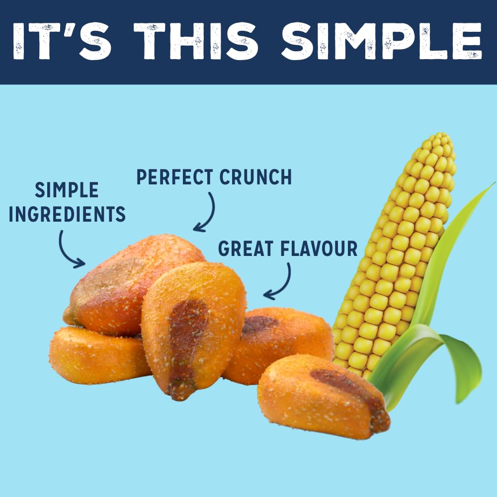 LOVE CORN Sharing Snack Variety Pack - Sea Salt, BBQ, Vinegar & Sour Cream (24 x 20g) 2