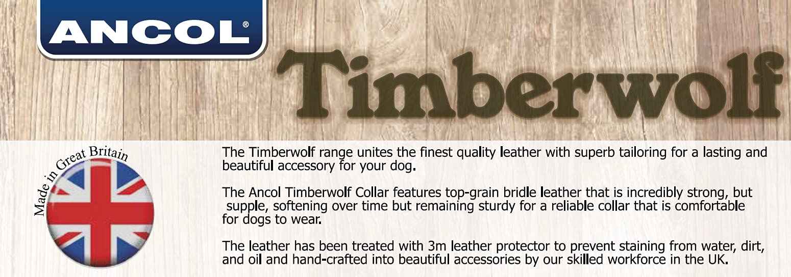 Ancol Timberwolf Premium Leather Dog Collar - Top-Grain Bridle Leather | Size 3 (28-36 cm) 5