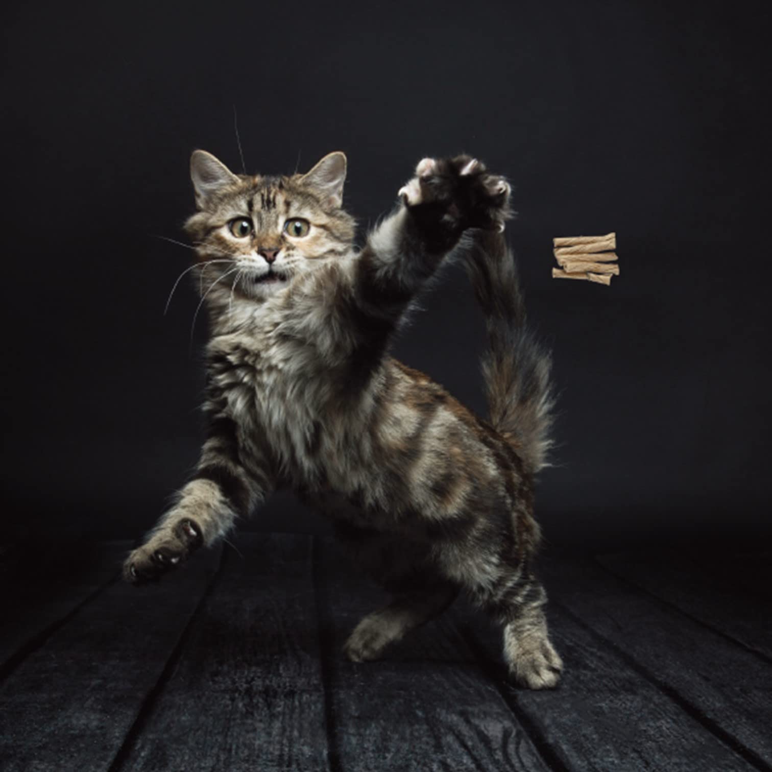 CAT DANCER Interactive Cat Toy - Cardboard, Stick Form, Portable