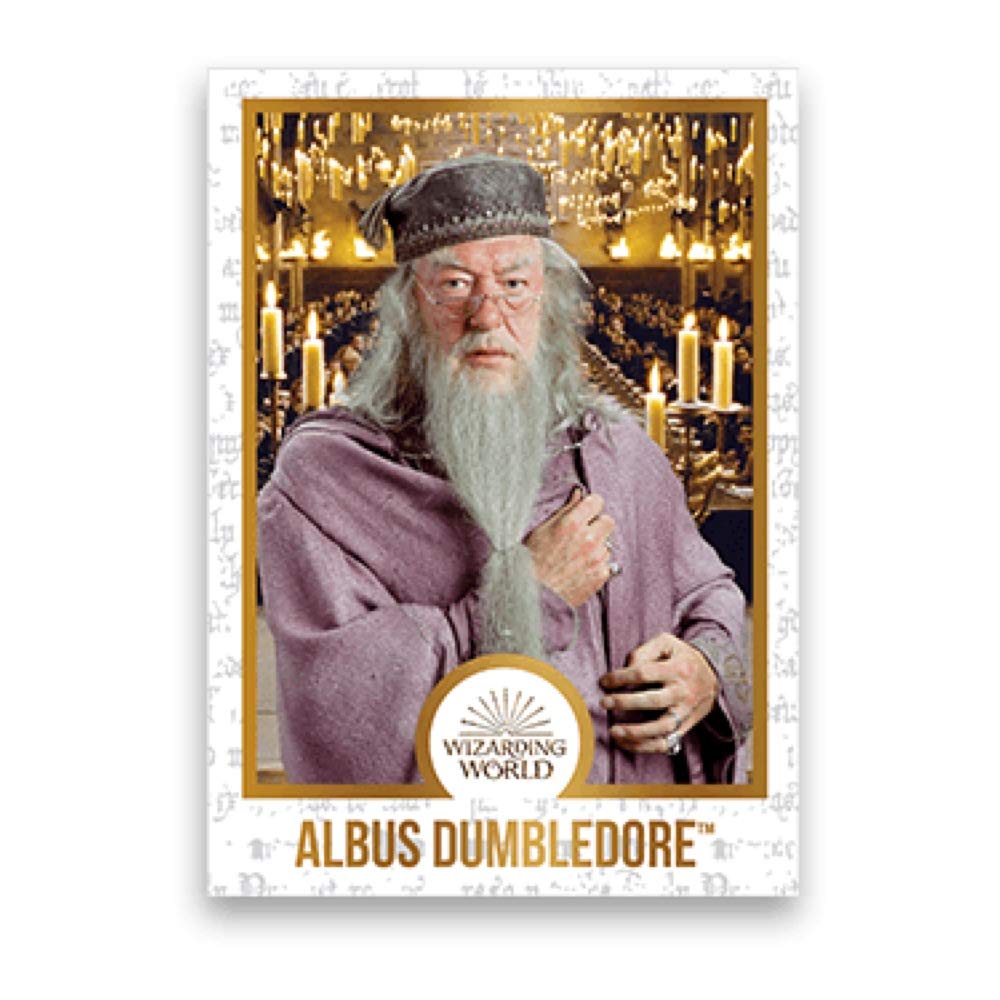 Jelly Belly Harry Potter Chocolate Frog with Collectible Wizard Card 15g 2