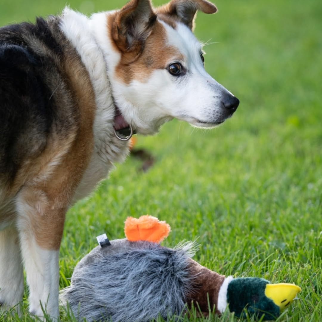 Petface Honking and Squeaky Duck Plush Dog Toy | Durable Material | Unscented 5