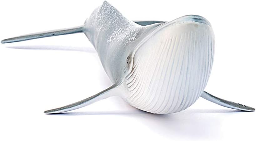 Schleich 14806 Blue Whale - Educational Play Figure for Ages 3+