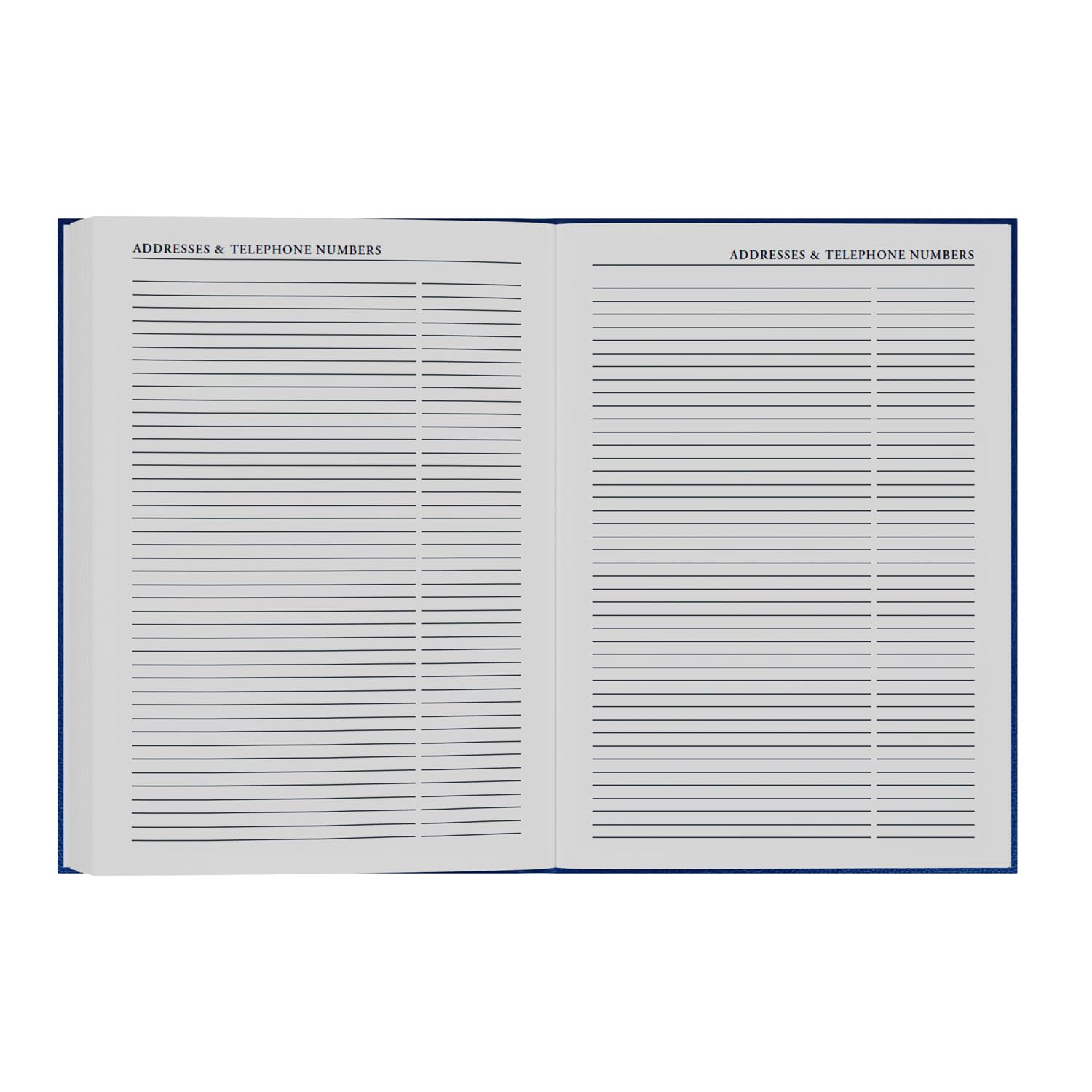 Collins 2026-2027 Mid/Academic Year Appointment Book & Planner - A4 Day-to-Page Organizer | Blue Hardcover 4
