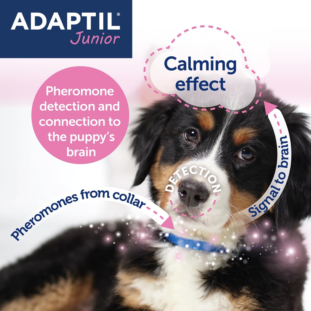 ADAPTIL Junior Adjustable Puppy Collar for Stress & Anxiety Relief | Baby Blue