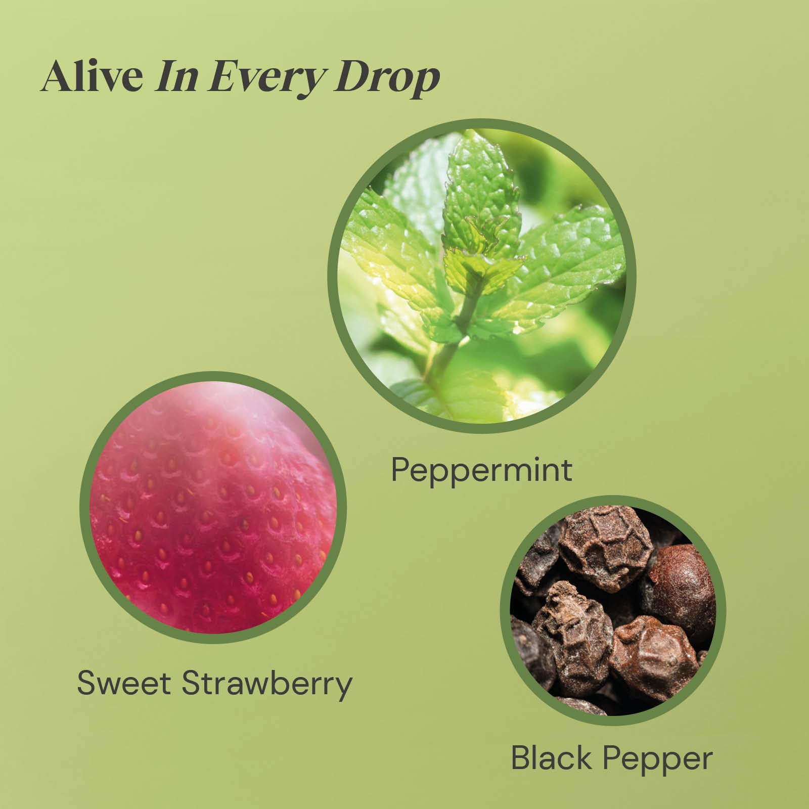 Twinings Peppermint and Strawberry Herbal Tea Bags, 20 Tea Bags 3